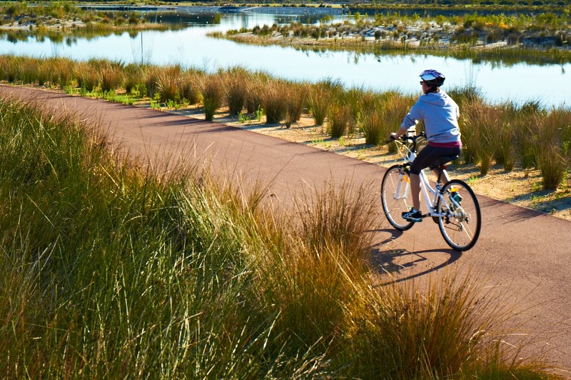 Champion Lakes Cyclist