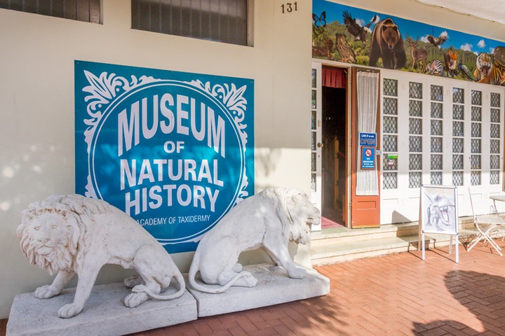 Museum of Natural History